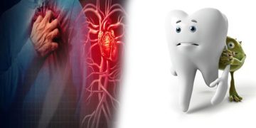 గుండెపోటు కారణాలు, heart attack causes in telugu, oral bacteria heart disease, dental hygiene telugu, నోటిశుభ్రత గుండె ఆరోగ్యం, heart attack prevention tips, oral care heart attack link, గుండె ఆరోగ్యం, heart disease research telugu, healthy lifestyle tips