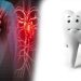 గుండెపోటు కారణాలు, heart attack causes in telugu, oral bacteria heart disease, dental hygiene telugu, నోటిశుభ్రత గుండె ఆరోగ్యం, heart attack prevention tips, oral care heart attack link, గుండె ఆరోగ్యం, heart disease research telugu, healthy lifestyle tips